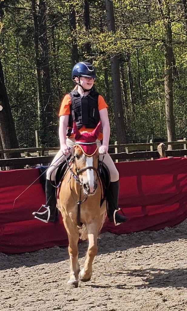 Enthousiaste verzorger!, Dieren en Toebehoren, Paarden en Pony's | Overige Paardenspullen, Ophalen of Verzenden, Nieuw, Recreatie