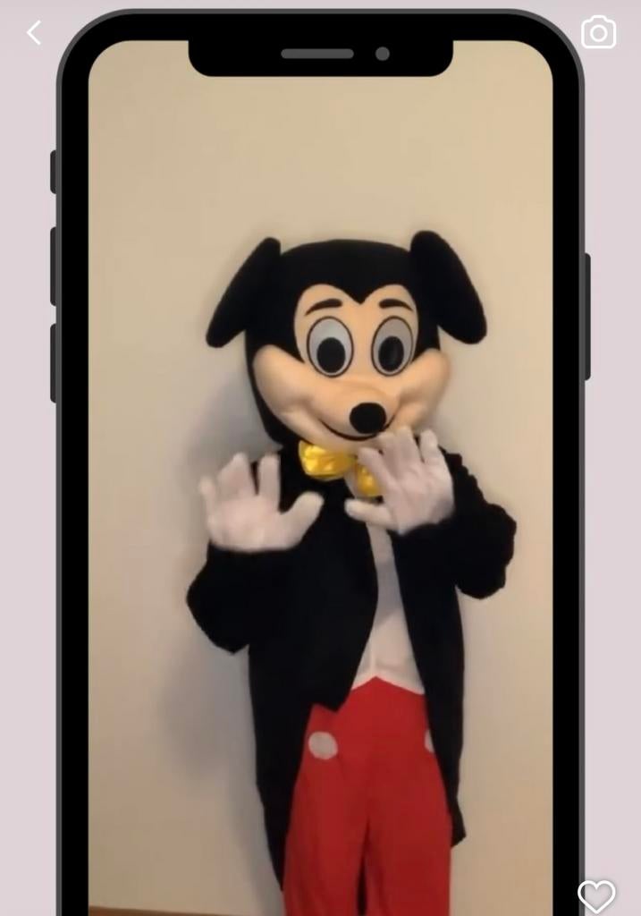 Mascottes te koop ophalen roosendaal of breda, Ophalen, Zo goed als nieuw, Carnaval