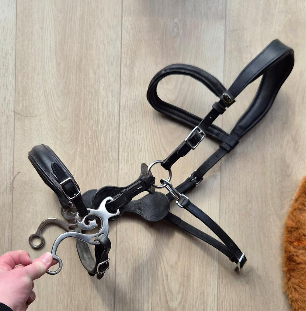 Fra calli bitloos hackamore sidepull hoofdstel cob, Ophalen of Verzenden, Overige soorten
