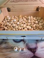 Houten kralen, Ophalen of Verzenden, Materiaal