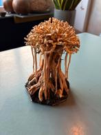 Custom made aquarium decoration, Ophalen, Nieuw, Leeg aquarium