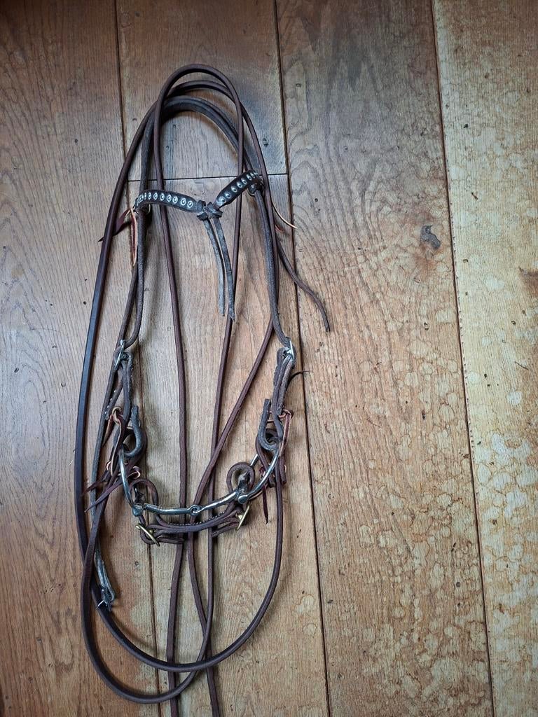 NIEUW western hoofdstel compleet met bit en teugels, Dieren en Toebehoren, Ophalen of Verzenden, Nieuw, Western