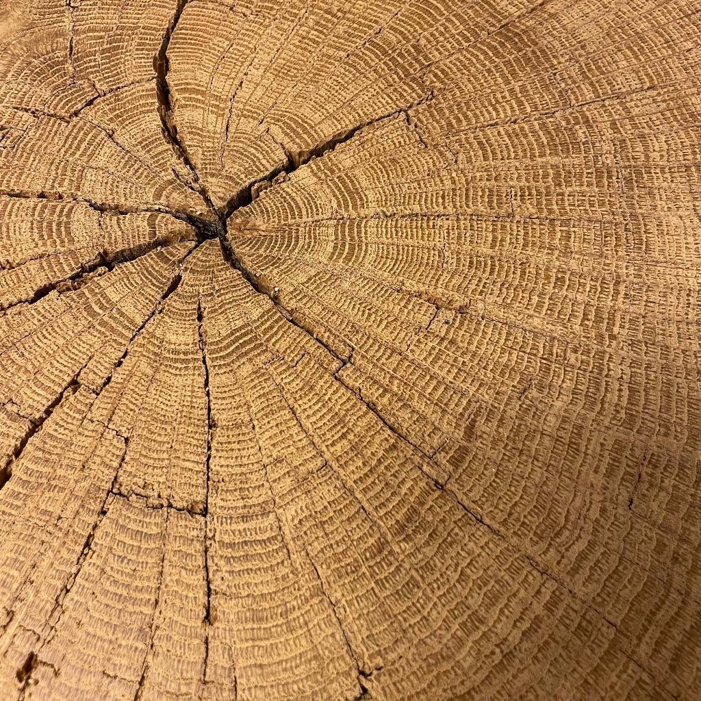 Grote rustieke winddroog eiken sokkel voor beeld/plant/kunst, Huis en Inrichting, Woonaccessoires | Zuilen en Pilaren, Ophalen of Verzenden