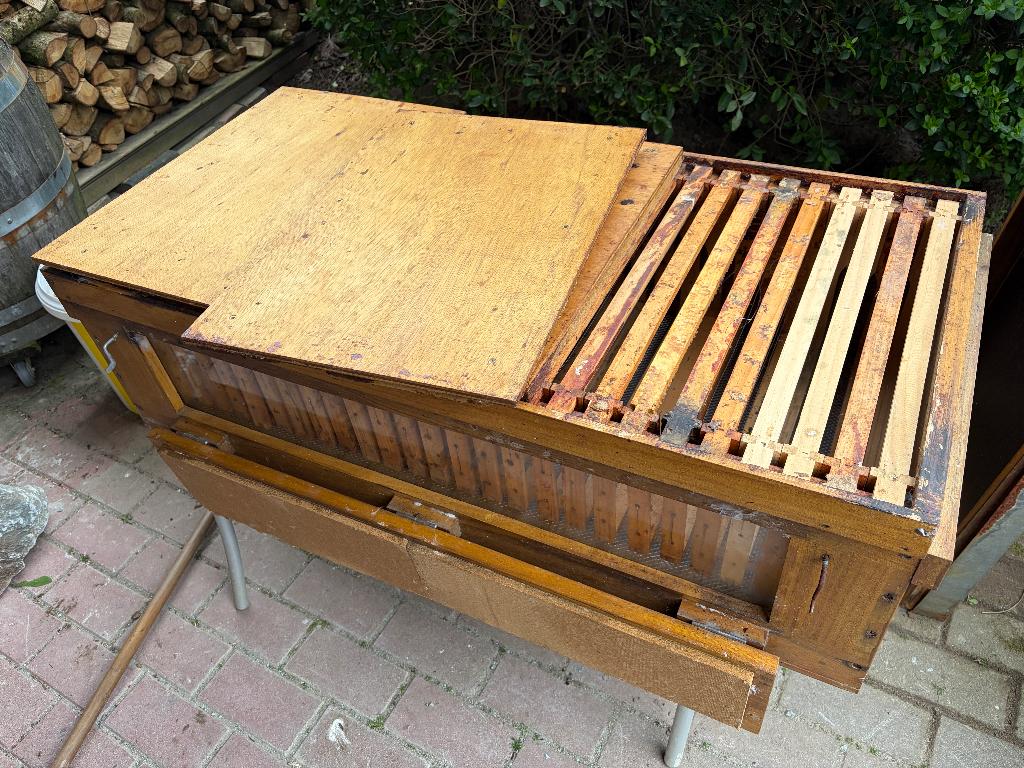 Bijenkast citybox dadant, Bijen