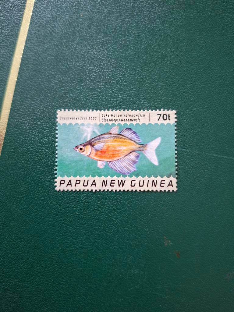 Vis. Papua Nieuw Guinea., Ophalen of Verzenden, Dier of Natuur