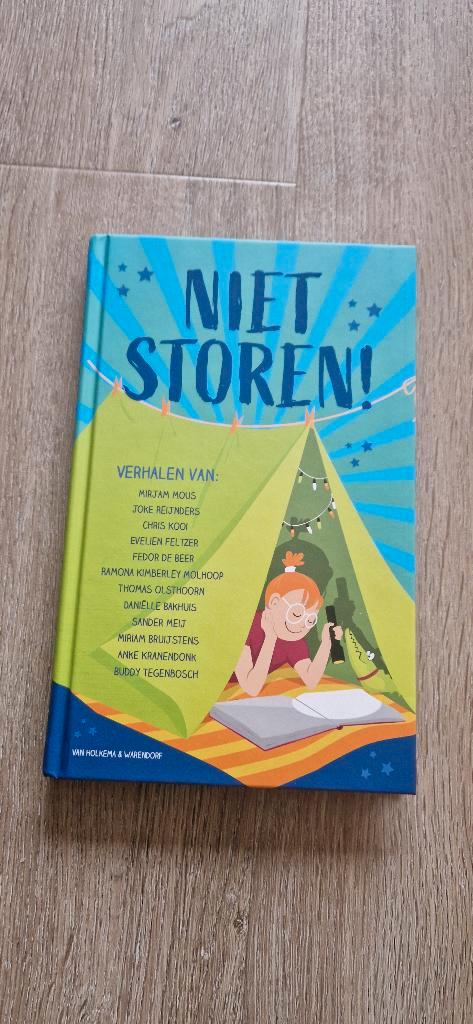 Niet storen, Boeken, Kinderboeken | Jeugd | 10 tot 12 jaar, Nieuw, Fictie, Ophalen of Verzenden