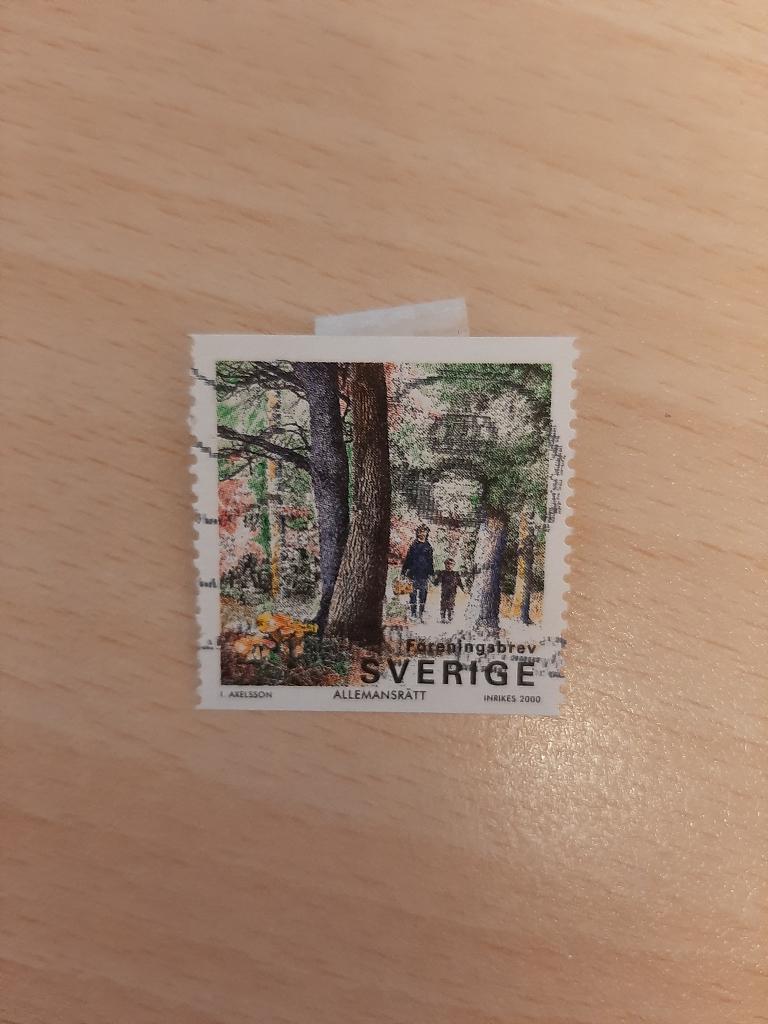 Zweden, bos, mensen, wandelen, Verzenden, Zweden, Gestempeld