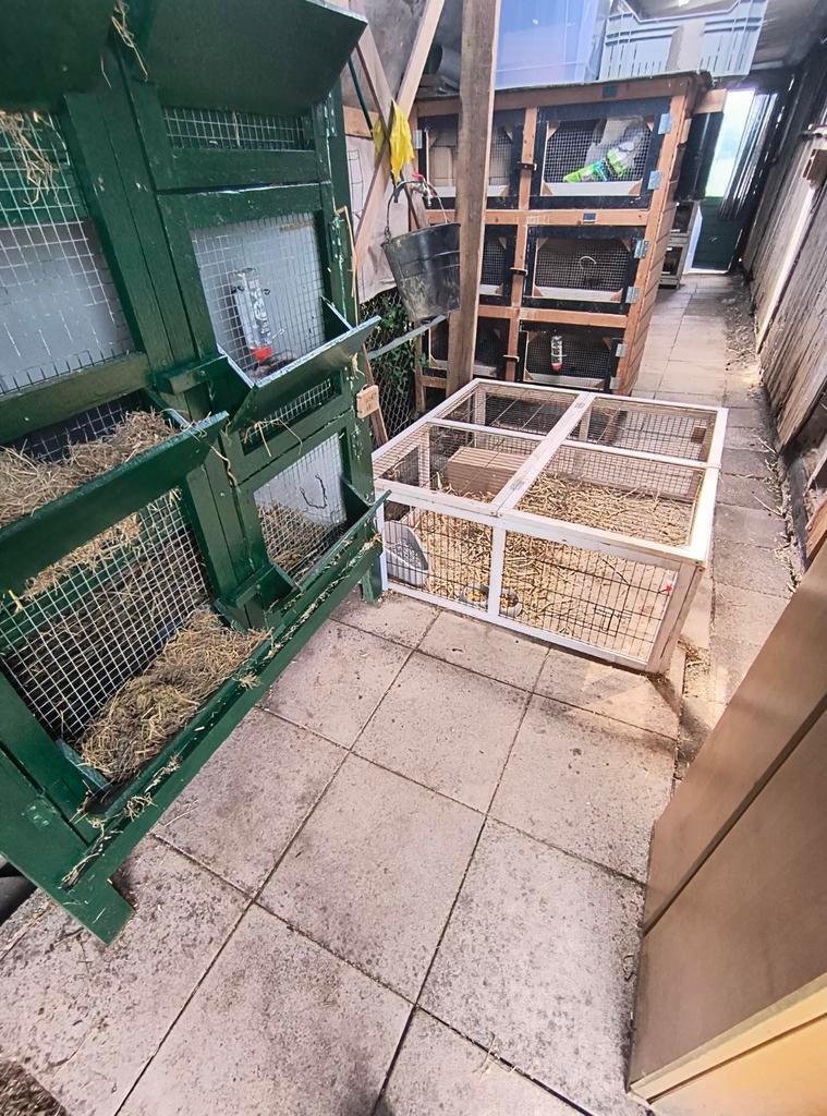 Vakantie opvang konijnen en cavia's, Ophalen, Zo goed als nieuw, Overige typen