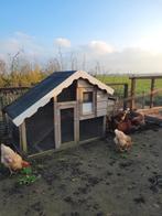 Leuk Kippenhok kippen hok, Dieren en Toebehoren, Pluimvee | Toebehoren, Ophalen, Gebruikt, Kippenhok of Kippenren