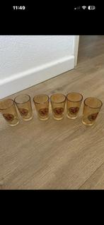 Set van 6 vintage borrelglaasjes met bloemmotief, Ophalen of Verzenden