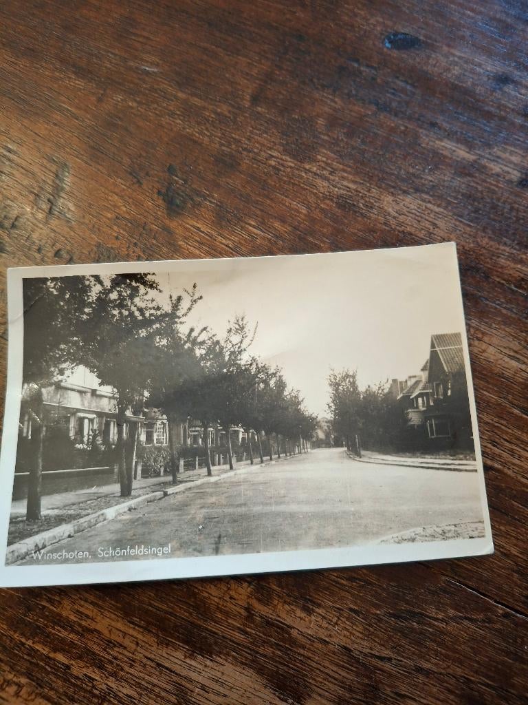 Winschoten Schönfeldsingel , gestempeld 1950, Ophalen of Verzenden, 1940 tot 1960, Gelopen, Groningen