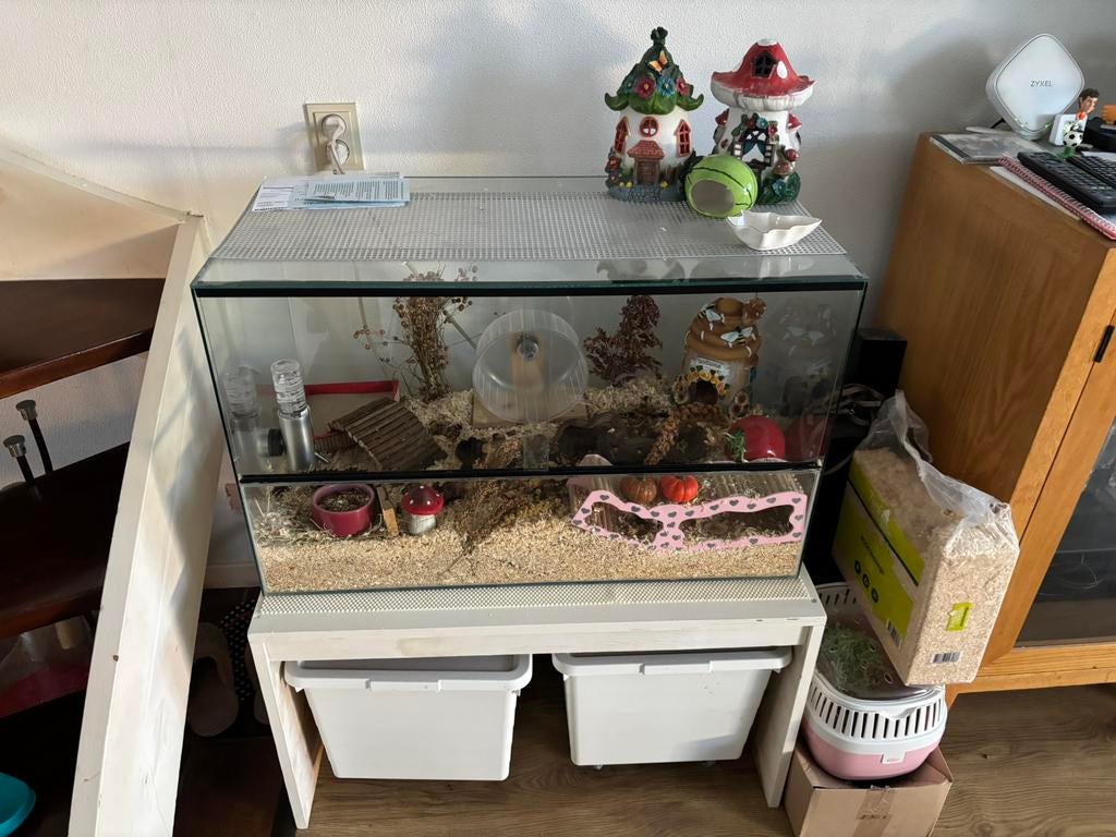 Glazenhamster kooi, Ophalen, Kooi, 60 tot 90 cm, Minder dan 75 cm