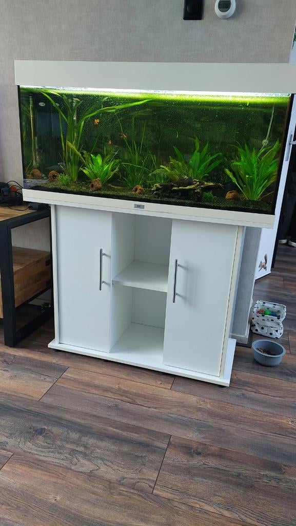 Witte juwel Rio 180 compleet, Dieren en Toebehoren, Ophalen, Gebruikt, Gevuld zoetwateraquarium, Juwel