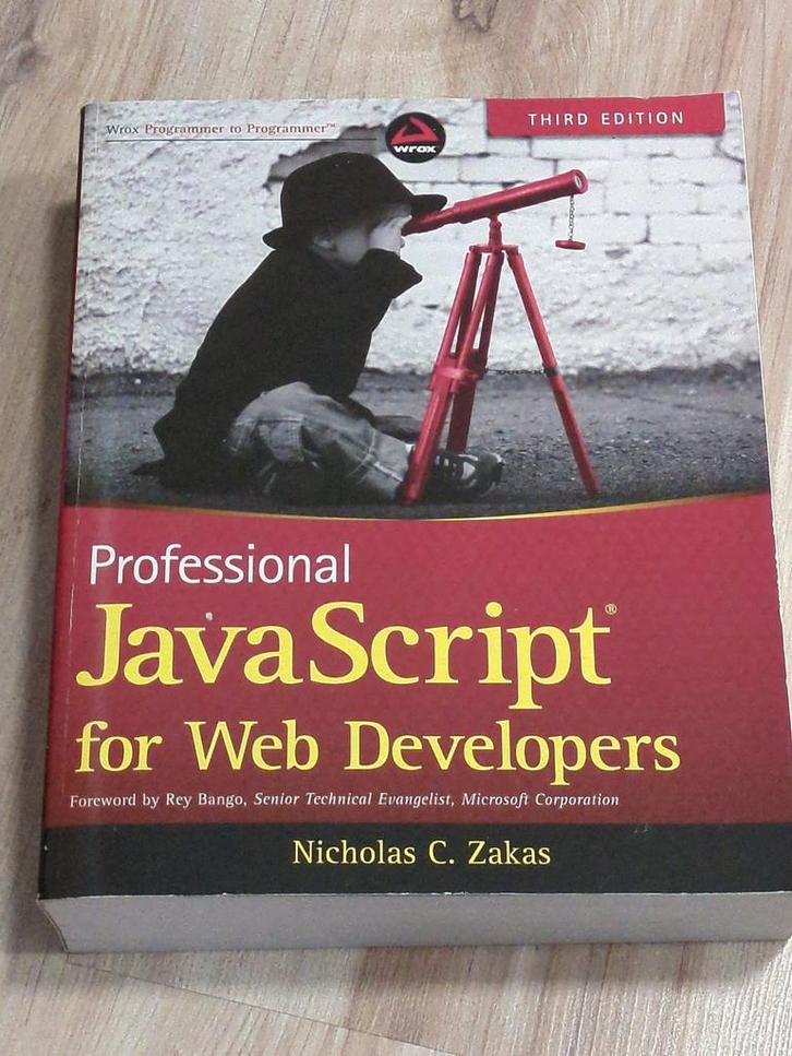 Professional JavaScript for Web Developers, Boeken, Informatica en Computer, Zo goed als nieuw, Internet of Webdesign, Ophalen of Verzenden