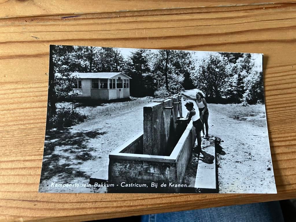 Ansichtkaart Castricum Bakkum kampeerterrein, Ophalen of Verzenden
