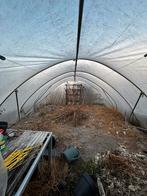 Tunnelkas 4x7m, Gebruikt, Folie, Kweekkas, Ophalen