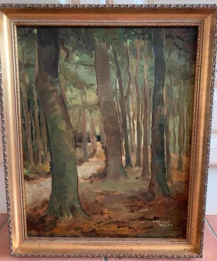 Olieverfschilderij Boslandschap - Hendrik Schaap (1878-1955), Ophalen of Verzenden