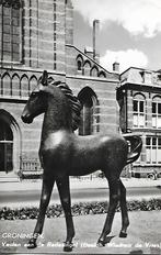 Groningen- -Veulen aan de Radesingel., Verzenden, 1960 tot 1980, Gelopen, Groningen