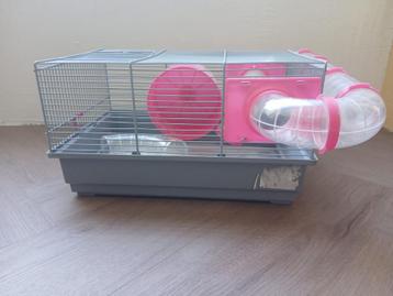 Hamsterkooi muizenkooi beschikbaar voor biedingen