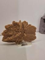 Leuke woestijnroos, Verzamelen, Mineralen en Fossielen, Ophalen of Verzenden, Mineraal