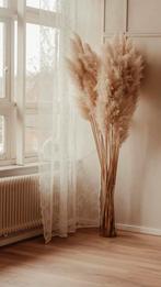 Pampas pluimen met vaas, Ophalen, Zo goed als nieuw