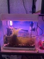 Aquarium 2 witte 1 zwarte te koop, Dieren en Toebehoren, Ophalen of Verzenden, Verlichting of Verwarming