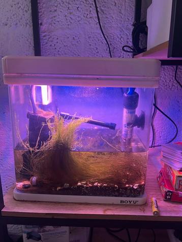 Aquarium 2 witte 1 zwarte te koop beschikbaar voor biedingen