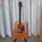 Cort Gitaar earth 80 nat, Muziek en Instrumenten, Snaarinstrumenten | Gitaren | Akoestisch, Ophalen, Zo goed als nieuw, Western- of Steelstringgitaar