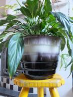 grote vintage bloempot bruin wit fat lava West Germany ø21, Ophalen
