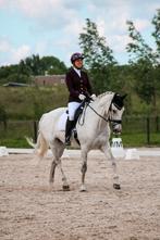 Klassieke dressuur instructeur/trainer aangeboden, Diensten en Vakmensen, Dieren | Paarden | Verzorging, Oppas en Les, Paardrijles of Ponykampen