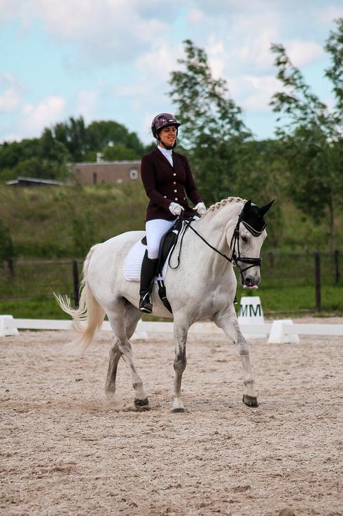 Klassieke dressuur instructeur/trainer aangeboden, Diensten en Vakmensen, Dieren | Paarden | Verzorging, Oppas en Les, Paardrijles of Ponykampen