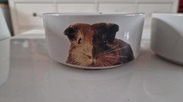 cavia voederbak beschikbaar voor biedingen