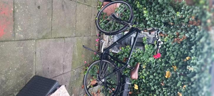 Prachtige Batavus e.go Genova 53 Cm  framehoogte, Fietsen en Brommers, Elektrische fietsen, Zo goed als nieuw, Batavus, 51 tot 55 cm