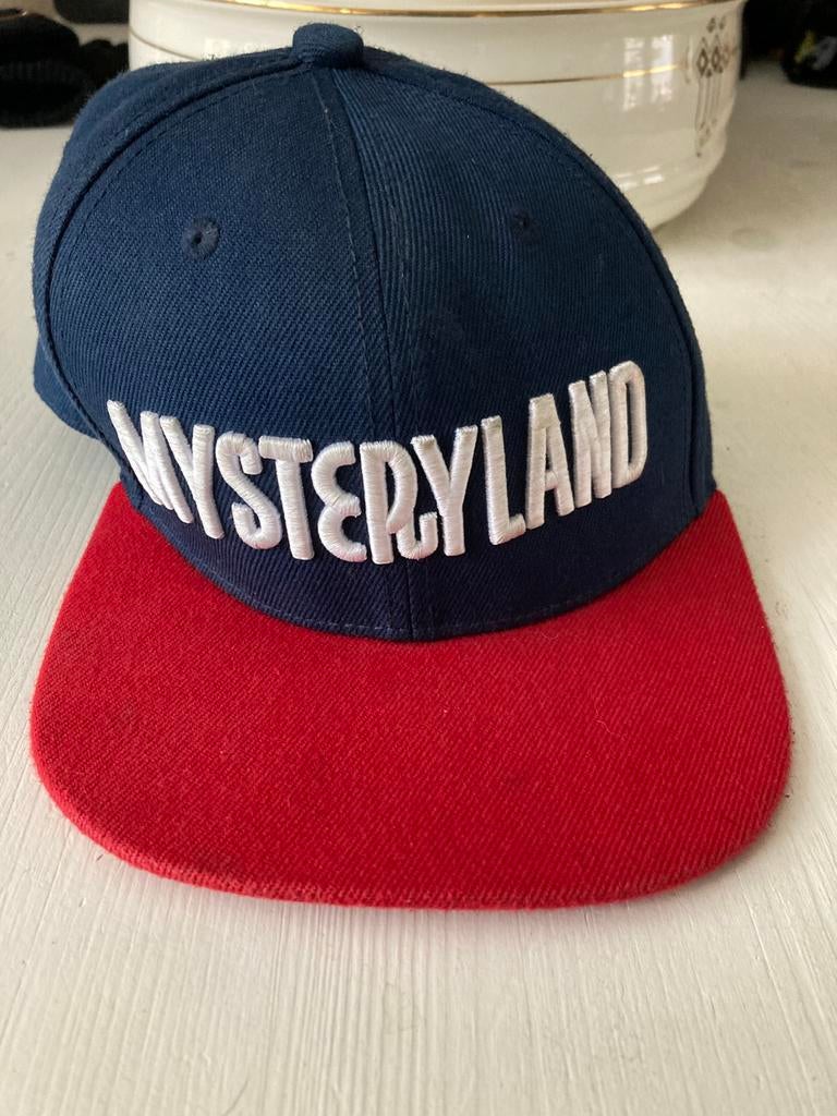 Mysteryland petje zgan, Ophalen of Verzenden, Zo goed als nieuw, One size fits all, Pet