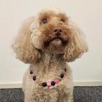 Handgemaakte hondenkralenketting maat M, Dieren en Toebehoren, Ophalen of Verzenden, Nieuw