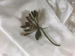 Antieke Franse corsage met wasbloemen Chapellerie Antique, Antiek en Kunst, Ophalen of Verzenden, Dames