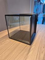 Glazen kubus vitrine kastje, Minder dan 50 cm, Ophalen of Verzenden, Minder dan 100 cm, 25 tot 50 cm