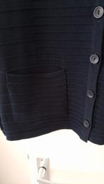 Nieuw  vest  48, Kleding | Dames, Grote Maten, Blauw, Mindset, Trui of Vest, Nieuw