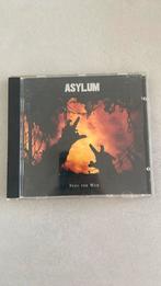 Asylum - into the web cd, Ophalen of Verzenden, Gebruikt