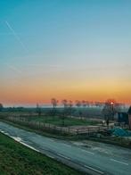 Pension of pensioen plek op kleinschalige paddock paradise, Dieren en Toebehoren, Stalling en Weidegang, Weidegang, 1 paard of pony