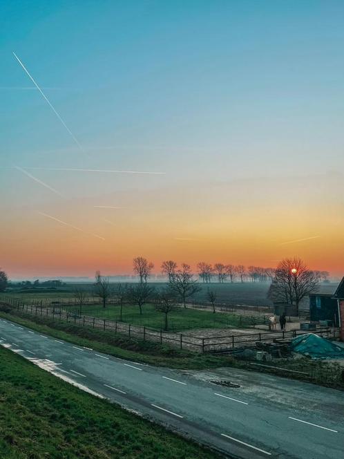 Pension of pensioen plek op kleinschalige paddock paradise, Dieren en Toebehoren, Stalling en Weidegang, Stalling, Weidegang, 1 paard of pony