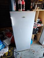 Goed werkende Everglades staande vriezer, Gebruikt, 160 cm of meer, Ophalen, Vrieskast