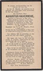 Pastoor Augustus Haverbeke 1872 Biervliet + 1922 Breda, 50 j, Verzamelen, Bidprentjes en Rouwkaarten, Verzenden, Bidprentje