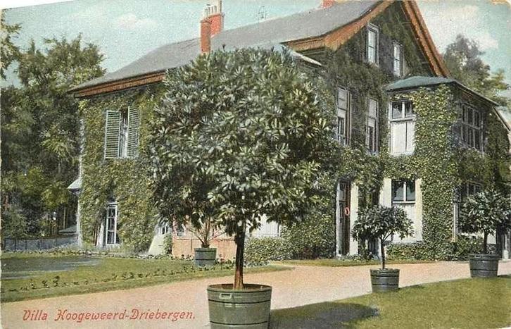377-070-013 Driebergen Villa Hoogeweerd, Verzamelen, Ansichtkaarten | Nederland, Utrecht, Voor 1920, Ophalen of Verzenden