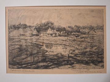 Ets Koeien bij Boerderij Toon Pluimers beschikbaar voor biedingen