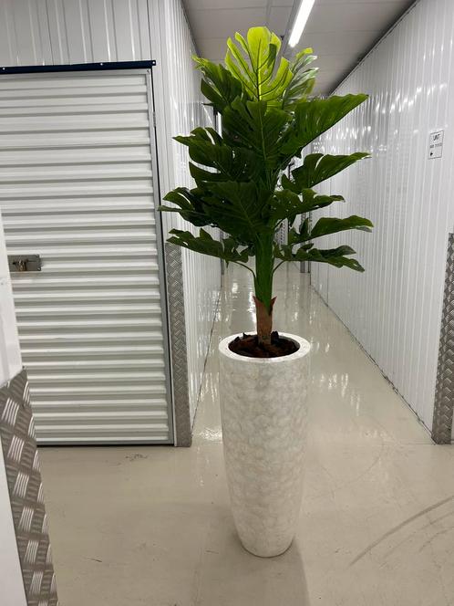 Luxe vazen met hoog groene planten zoek uit., Huis en Inrichting, Woonaccessoires | Vazen, Nieuw, Overige kleuren, 75 cm of meer