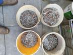Schroeven divers en ringen, Ophalen, Gebruikt, Minder dan 50 mm, Schroeven
