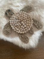 Nieuw schelpen touw schildpad, Ophalen of Verzenden, Nieuw