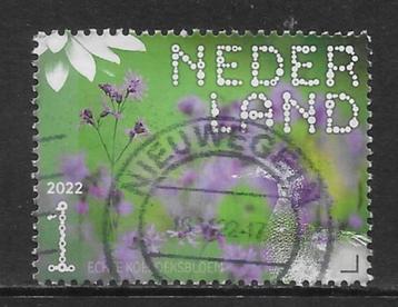 2022, Nieuwkoopse Plassen, Koekoeksbloem [4005] (K3009) beschikbaar voor biedingen