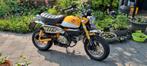 Honda Monkey Z125MA (2020), Fietsen en Brommers, Minibikes, Midibikes en Pitbikes, Ophalen, 125 cc